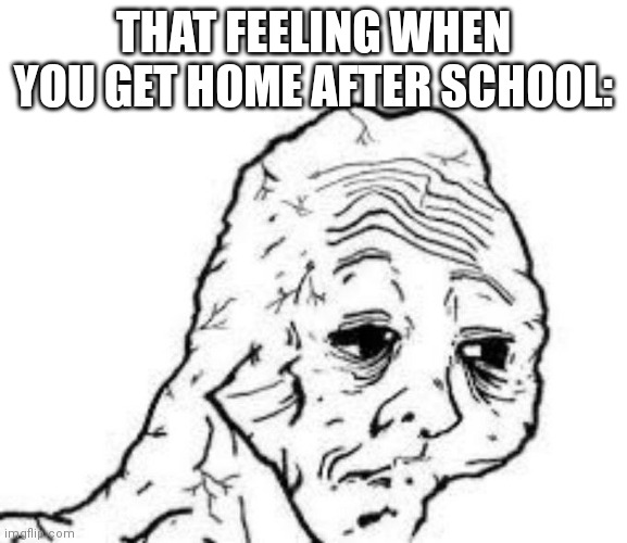 Most likely how we all felt. | THAT FEELING WHEN YOU GET HOME AFTER SCHOOL: | image tagged in tired wojak | made w/ Imgflip meme maker