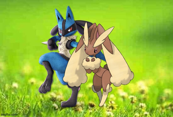 Lucario and Lopunny hanging out in the meadows. | image tagged in green background,pokemon | made w/ Imgflip meme maker
