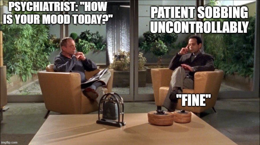 Incongruent mood | PSYCHIATRIST: "HOW IS YOUR MOOD TODAY?"; PATIENT SOBBING UNCONTROLLABLY; "FINE" | image tagged in psychiatrist and patient,therapy,mental health,wholesome | made w/ Imgflip meme maker