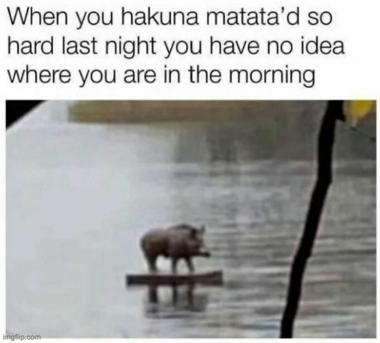 image tagged in memes,funny | made w/ Imgflip meme maker