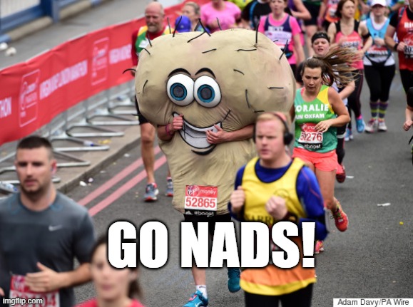 gonads running | GO NADS! | image tagged in running | made w/ Imgflip meme maker