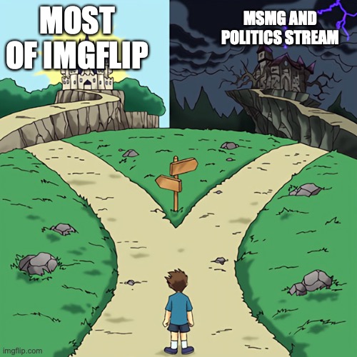 MSMG is just chaos and Politics stream is also pretty chaotic at times | MOST OF IMGFLIP; MSMG AND POLITICS STREAM | image tagged in two castles | made w/ Imgflip meme maker