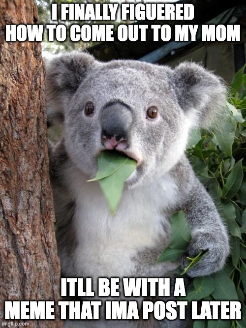dont kno when tho | I FINALLY FIGUERED HOW TO COME OUT TO MY MOM; ITLL BE WITH A MEME THAT IMA POST LATER | image tagged in memes,surprised koala | made w/ Imgflip meme maker