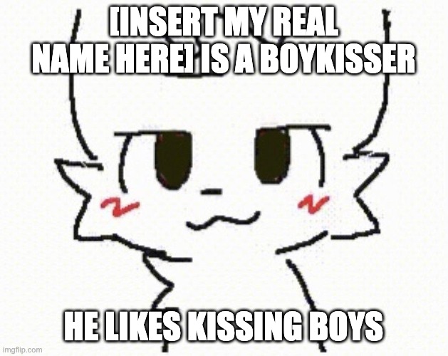 the aforementioned meme | [INSERT MY REAL NAME HERE] IS A BOYKISSER; HE LIKES KISSING BOYS | image tagged in you like kissing boys | made w/ Imgflip meme maker