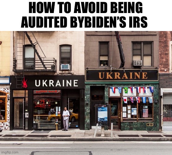 Financial Advice | HOW TO AVOID BEING AUDITED BYBIDEN’S IRS | image tagged in irs,big government,ukraine,biden,joe biden | made w/ Imgflip meme maker