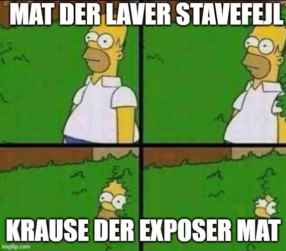 Homer Simpson in Bush - Large | MAT DER LAVER STAVEFEJL; KRAUSE DER EXPOSER MAT | image tagged in homer simpson in bush - large | made w/ Imgflip meme maker