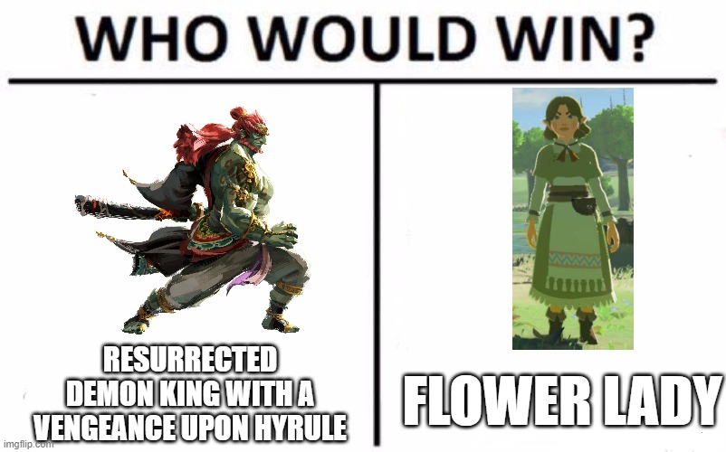 A fight I would like to watch | RESURRECTED DEMON KING WITH A VENGEANCE UPON HYRULE; FLOWER LADY | image tagged in memes,who would win | made w/ Imgflip meme maker