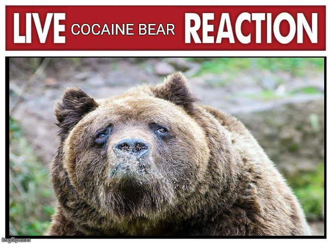 Live cocaine bear reaction | COCAINE BEAR | image tagged in live,reaction,cocaine bear | made w/ Imgflip meme maker