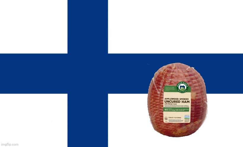 Finland | image tagged in finland | made w/ Imgflip meme maker