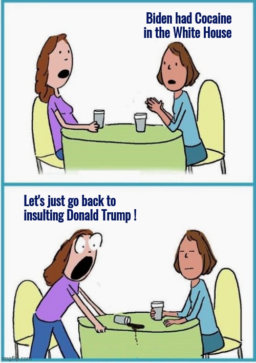 Never-Trumpers are so predictable | Biden had Cocaine in the White House; Let's just go back to insulting Donald Trump ! | image tagged in versus,never trump,morons,propaganda,make stuff up,whataboutism | made w/ Imgflip meme maker