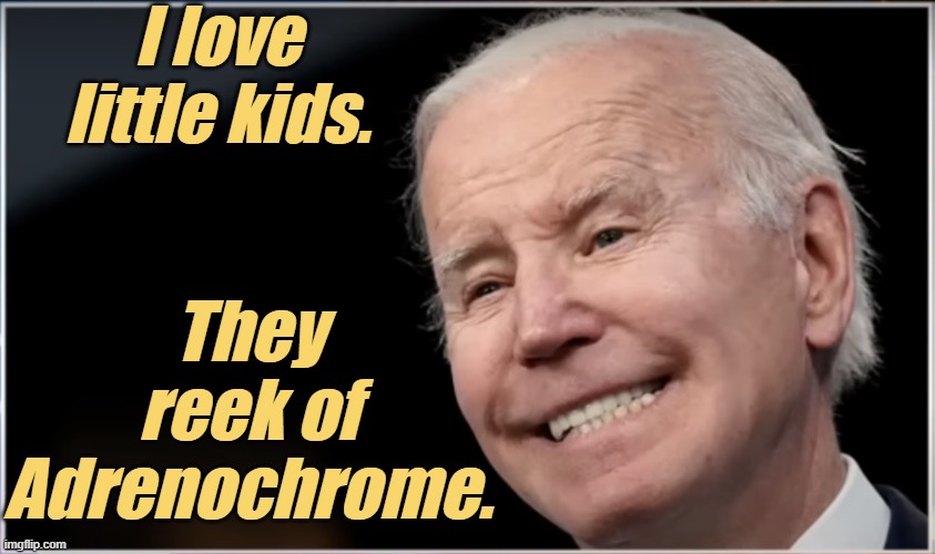 joe biden - Geezer, Goon, Groper | I love little kids. They reek of Adrenochrome. | image tagged in joe biden - geezer goon groper | made w/ Imgflip meme maker