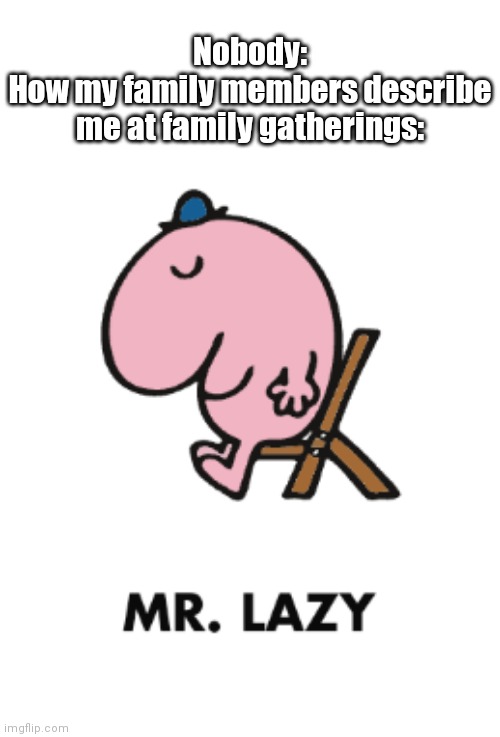 Mr Lazy | Nobody:
How my family members describe me at family gatherings: | image tagged in mr lazy | made w/ Imgflip meme maker