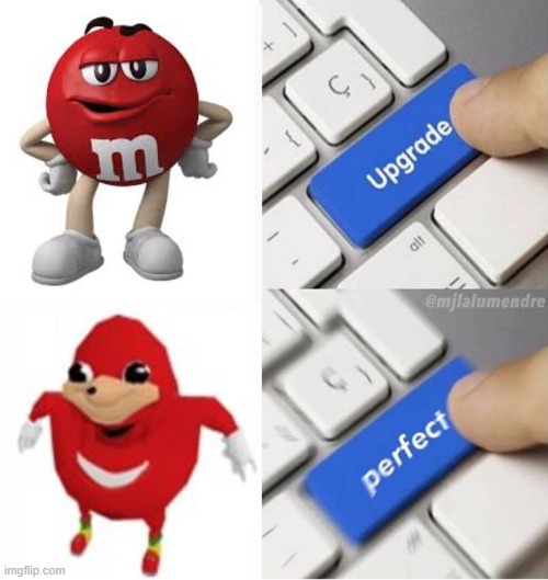 image tagged in memes | made w/ Imgflip meme maker
