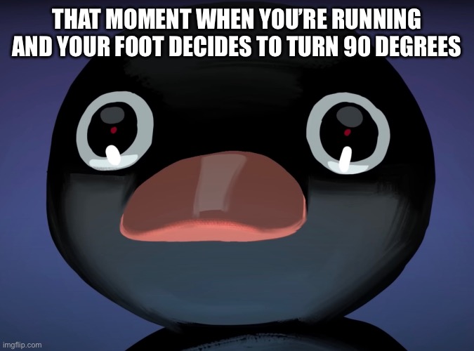 Pingu stare | THAT MOMENT WHEN YOU’RE RUNNING AND YOUR FOOT DECIDES TO TURN 90 DEGREES | image tagged in pingu stare | made w/ Imgflip meme maker