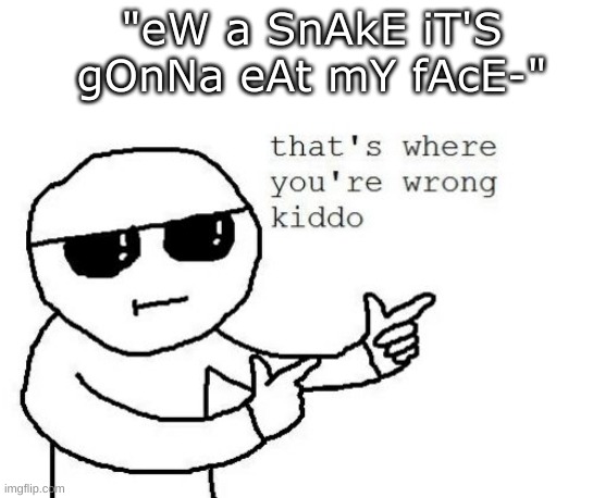 just going to say this. snakes are not slimy. they are not out to get us. | "eW a SnAkE iT'S gOnNa eAt mY fAcE-" | image tagged in that's where you're wrong kiddo,snake,why,front page so everyone can see this | made w/ Imgflip meme maker