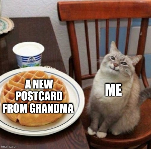 A new postcard | ME; A NEW POSTCARD FROM GRANDMA | image tagged in cat likes their waffle | made w/ Imgflip meme maker