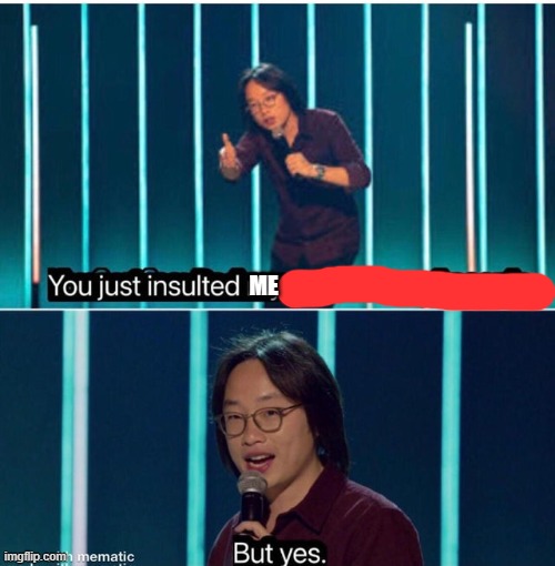 You just insulted my entire race of people | ME | image tagged in you just insulted my entire race of people | made w/ Imgflip meme maker