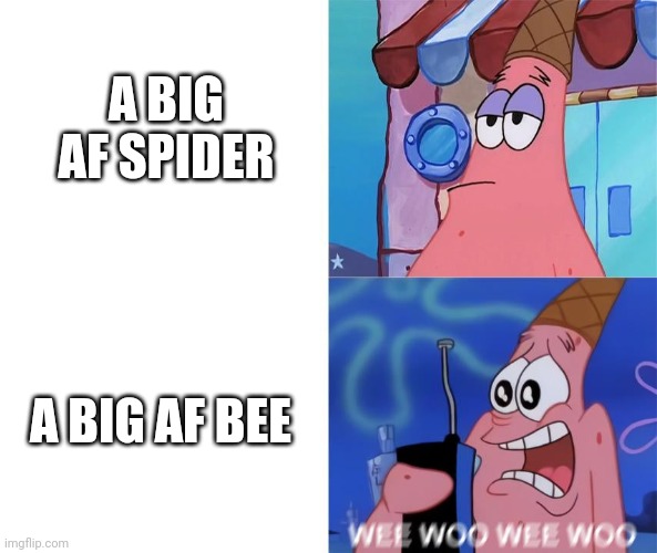 Spiders vs. Bees | A BIG AF SPIDER; A BIG AF BEE | image tagged in wee woo wee woo patrick | made w/ Imgflip meme maker