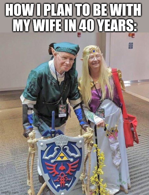 ZELDA TO I DIE! | HOW I PLAN TO BE WITH
 MY WIFE IN 40 YEARS: | image tagged in the legend of zelda,link,zelda,cosplay | made w/ Imgflip meme maker