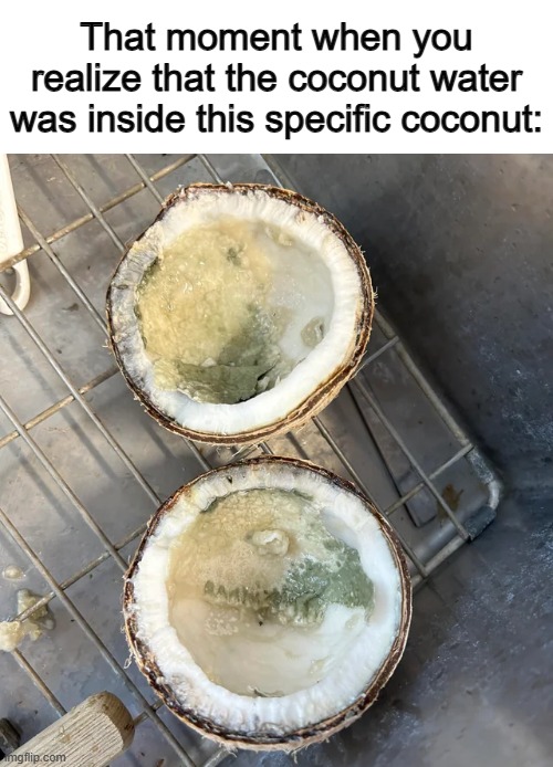 Uh oh- X_X | That moment when you realize that the coconut water was inside this specific coconut: | made w/ Imgflip meme maker