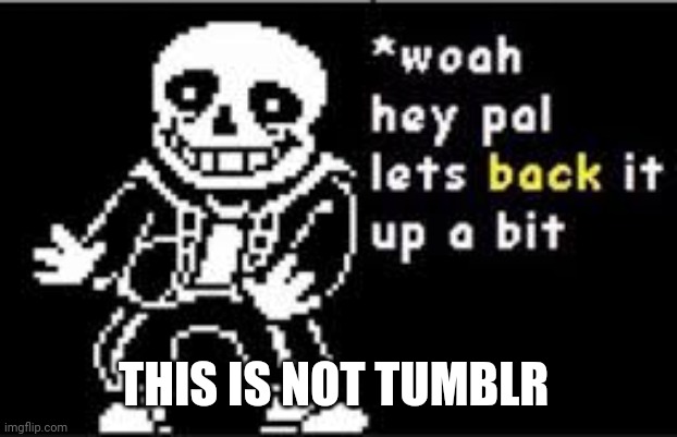 woah hey pal lets back it up a bit | THIS IS NOT TUMBLR | image tagged in woah hey pal lets back it up a bit | made w/ Imgflip meme maker