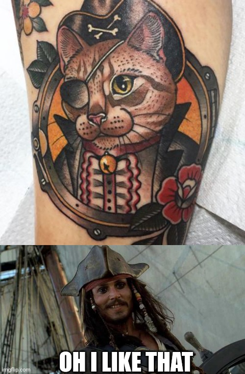 CAT TAT | OH I LIKE THAT | image tagged in jack oh i like that,cats,tattoos,pirate,pirates,tattoo | made w/ Imgflip meme maker