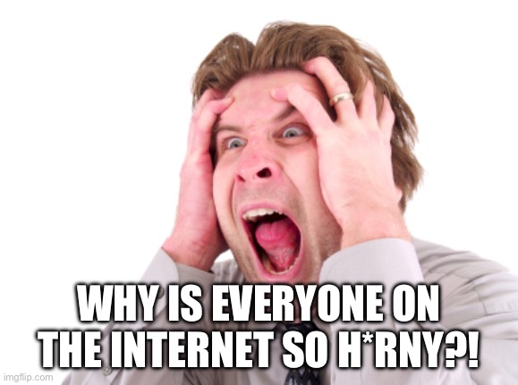 WHY?! WHY IS THERE SO MUCH SMUT?! | WHY IS EVERYONE ON THE INTERNET SO H*RNY?! | made w/ Imgflip meme maker