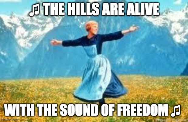 Look At All These Meme | ♫ THE HILLS ARE ALIVE; WITH THE SOUND OF FREEDOM ♫ | image tagged in memes,look at all these,caring,sound of music | made w/ Imgflip meme maker