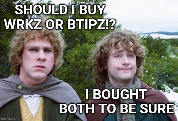 Wrkz and btipz on discord | SHOULD I BUY WRKZ OR BTIPZ!? I BOUGHT BOTH TO BE SURE | image tagged in wrkz,btipz,discord,funny,cryptocurrency | made w/ Imgflip meme maker