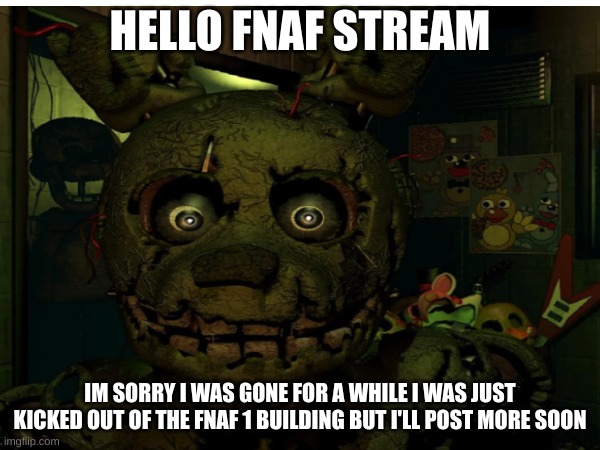 cass evicted me cuz I was using up all their wi-fi | HELLO FNAF STREAM; IM SORRY I WAS GONE FOR A WHILE I WAS JUST KICKED OUT OF THE FNAF 1 BUILDING BUT I'LL POST MORE SOON | image tagged in fnaf,springtrap | made w/ Imgflip meme maker