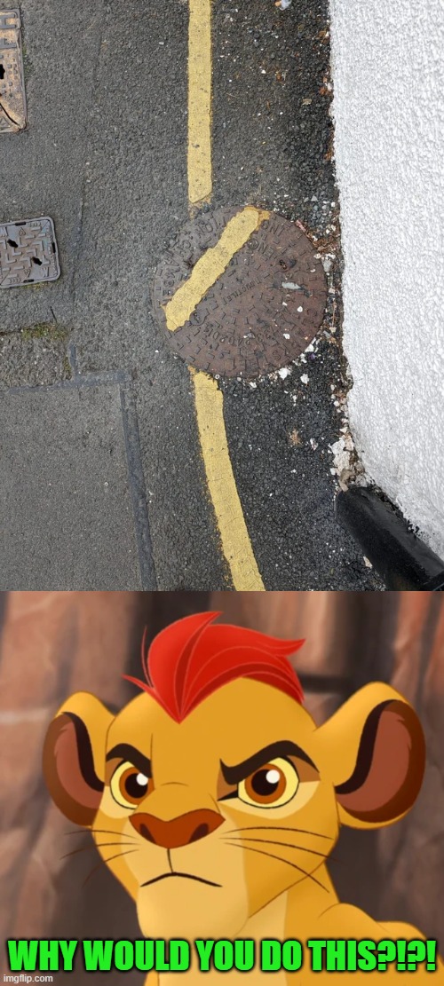 How many seconds would it have taken to align the manhole cover properly? | WHY WOULD YOU DO THIS?!?! | image tagged in angry kion,you had one job,memes,funny | made w/ Imgflip meme maker