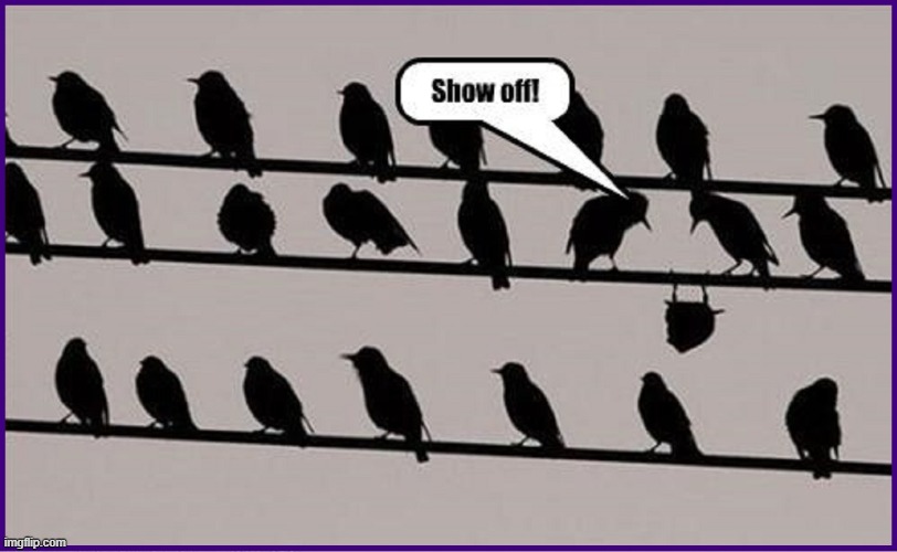 It's always that one guy | image tagged in vince vance,bird on a wire,show off,counting crows,memes,blackbirds | made w/ Imgflip meme maker