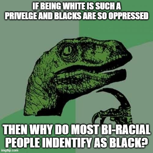 Philosoraptor | IF BEING WHITE IS SUCH A PRIVELGE AND BLACKS ARE SO OPPRESSED; THEN WHY DO MOST BI-RACIAL PEOPLE INDENTIFY AS BLACK? | image tagged in memes,philosoraptor | made w/ Imgflip meme maker