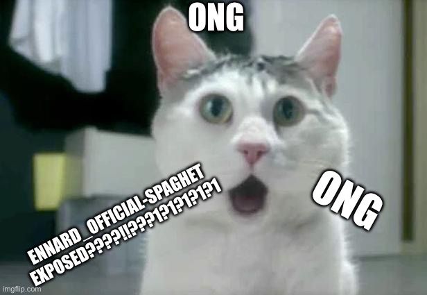 OMG Cat Meme | ONG ENNARD_OFFICIAL-SPAGHET EXPOSED????!!???1?1?1?1?1 ONG | image tagged in memes,omg cat | made w/ Imgflip meme maker