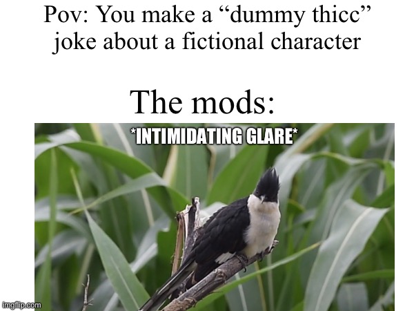 A relatable meme | Pov: You make a “dummy thicc” joke about a fictional character; The mods: | image tagged in blank white template,relatable,online,dummy,thicc,relatable memes | made w/ Imgflip meme maker