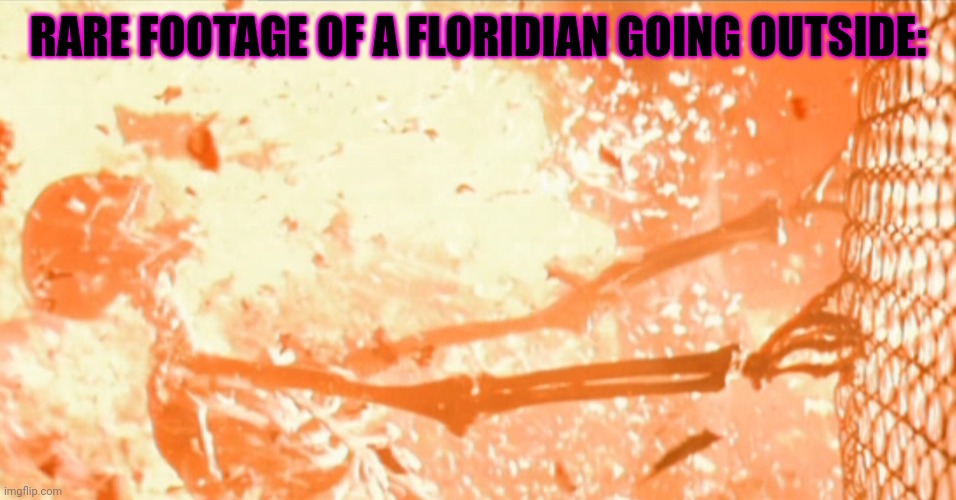burning skelton fence | RARE FOOTAGE OF A FLORIDIAN GOING OUTSIDE: | image tagged in burning skelton fence | made w/ Imgflip meme maker