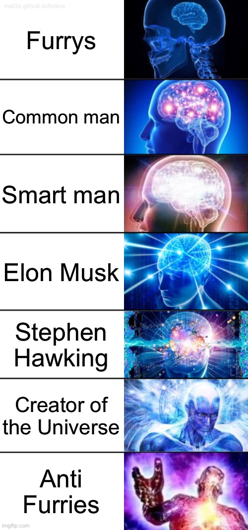 IQ infinity | Furrys; Common man; Smart man; Elon Musk; Stephen Hawking; Creator of the Universe; Anti Furries | image tagged in 7-tier expanding brain,anti furry | made w/ Imgflip meme maker