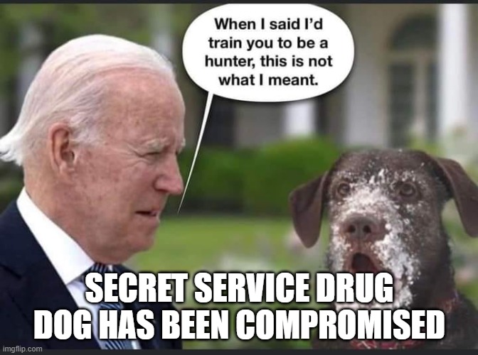 The Secret Service Drug Sniffer. | SECRET SERVICE DRUG DOG HAS BEEN COMPROMISED | image tagged in the secret service drug sniffer | made w/ Imgflip meme maker