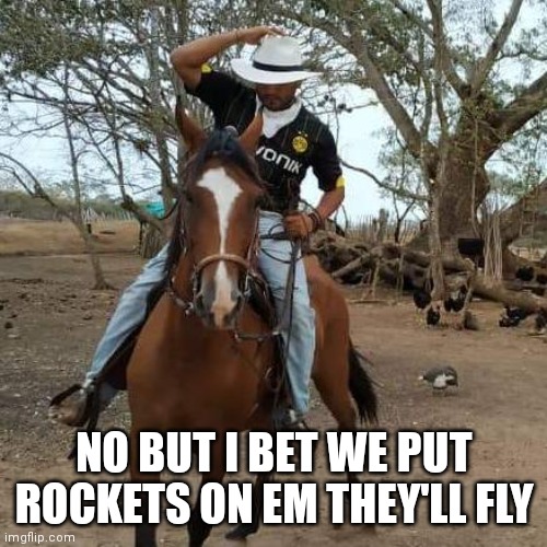 En efecto patron | NO BUT I BET WE PUT ROCKETS ON EM THEY'LL FLY | image tagged in en efecto patron | made w/ Imgflip meme maker