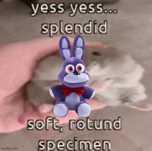 Bonnie moment | image tagged in soft rotund specimen | made w/ Imgflip meme maker