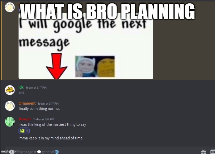 what is bro planning | WHAT IS BRO PLANNING | image tagged in discord | made w/ Imgflip meme maker