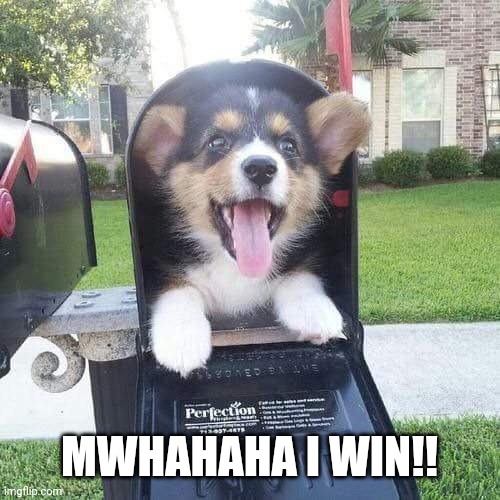 Cute doggo in mailbox | MWHAHAHA I WIN!! | image tagged in cute doggo in mailbox | made w/ Imgflip meme maker