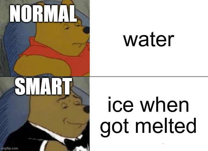 winnie the pooh meme | NORMAL; water; SMART; ice when got melted | image tagged in memes,tuxedo winnie the pooh | made w/ Imgflip meme maker