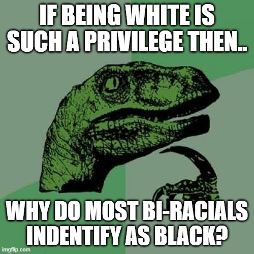 Philosoraptor | IF BEING WHITE IS SUCH A PRIVILEGE THEN.. WHY DO MOST BI-RACIALS INDENTIFY AS BLACK? | image tagged in memes,philosoraptor | made w/ Imgflip meme maker