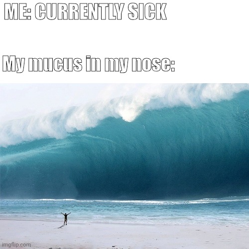I'm sick rn (/srs) so that gave me a idea. | ME: CURRENTLY SICK; My mucus in my nose: | image tagged in tsunami incoming,funny,fun,memes,relatable | made w/ Imgflip meme maker