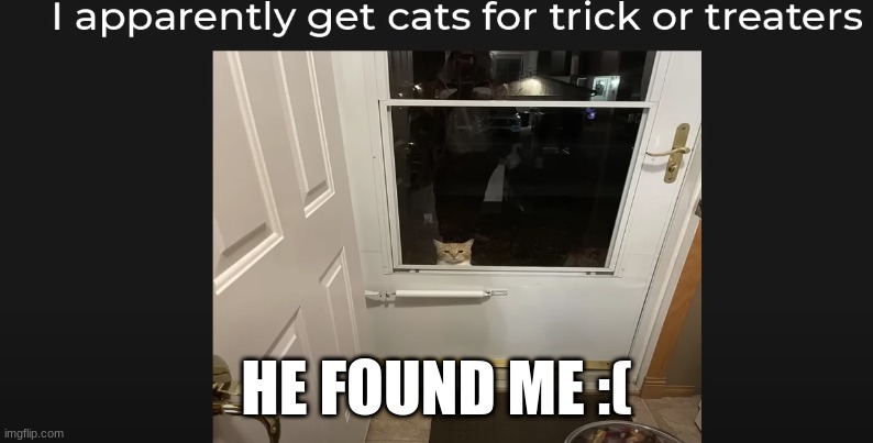 oh no | HE FOUND ME :( | image tagged in cats | made w/ Imgflip meme maker