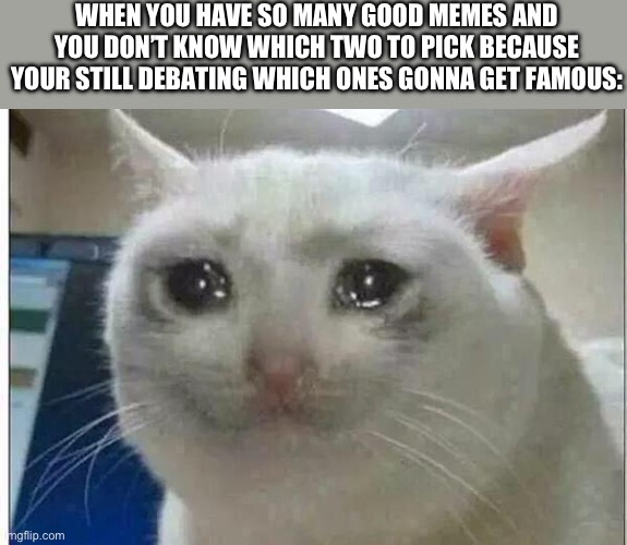 Which one!? | WHEN YOU HAVE SO MANY GOOD MEMES AND YOU DON’T KNOW WHICH TWO TO PICK BECAUSE YOUR STILL DEBATING WHICH ONES GONNA GET FAMOUS: | image tagged in crying cat,memes | made w/ Imgflip meme maker