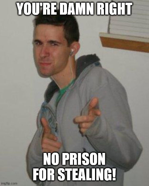 STOP SENDING PEOPLE TO PRISON FOR STEALING! | YOU'RE DAMN RIGHT; NO PRISON FOR STEALING! | image tagged in you're damn right | made w/ Imgflip meme maker