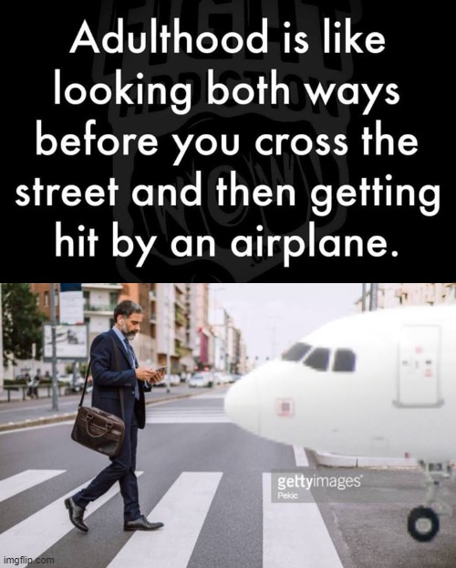 Newly adulted | image tagged in pedestrian crosswalk | made w/ Imgflip meme maker