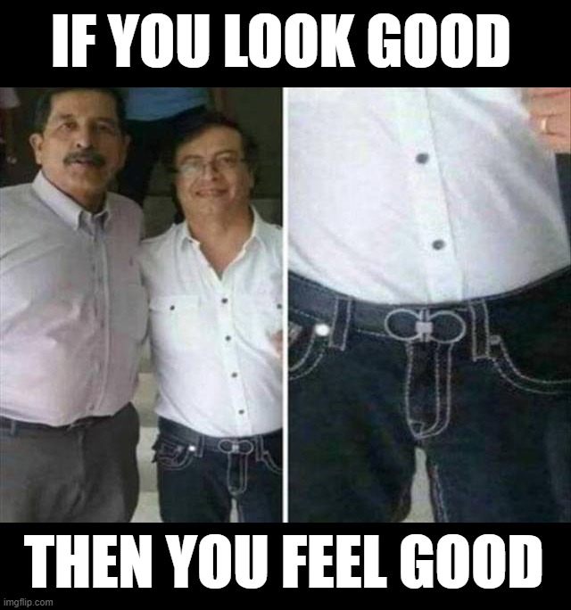 IF YOU LOOK GOOD; THEN YOU FEEL GOOD | image tagged in look good | made w/ Imgflip meme maker